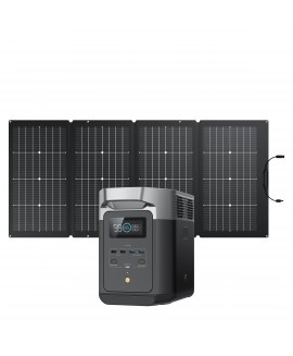 EcoFlow Delta 2 + 220W Portable Solar Panel 