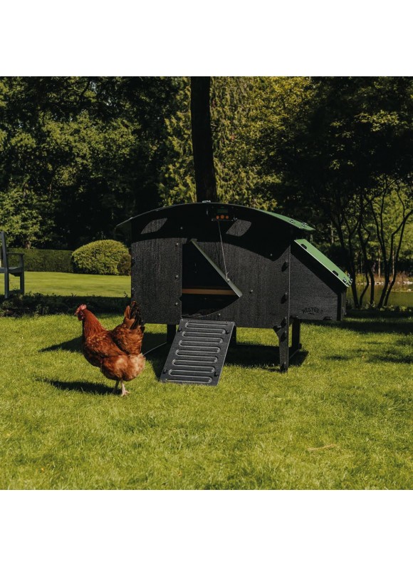 Nestera Large Lodge Chicken Coop, Green and Black