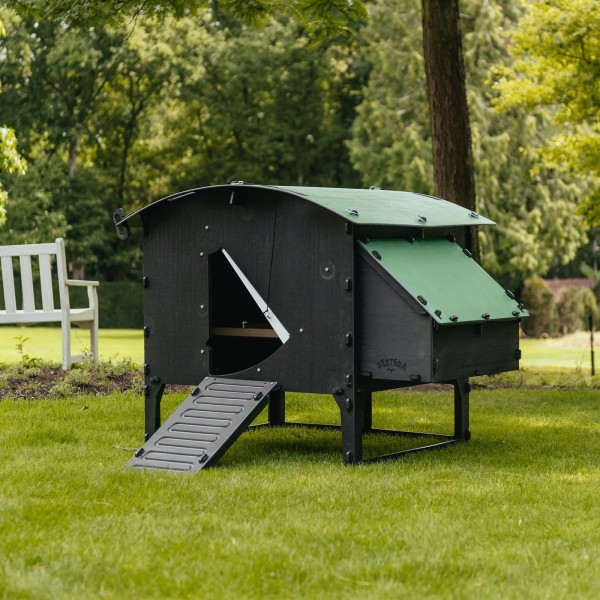 Nestera Large Lodge Chicken Coop, Green and Black 