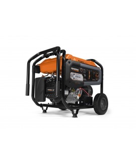 Generac GP7000E Portable Generator 7000W/8125W Electric Start 50 State Carb with 20 Foot Cord New 7720 