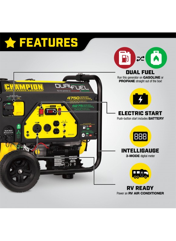 Champion 3500-Watt Dual Fuel Portable Generator with Electric Start