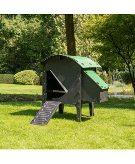 Nestera Small Lodge Chicken Coop, Green and Black 