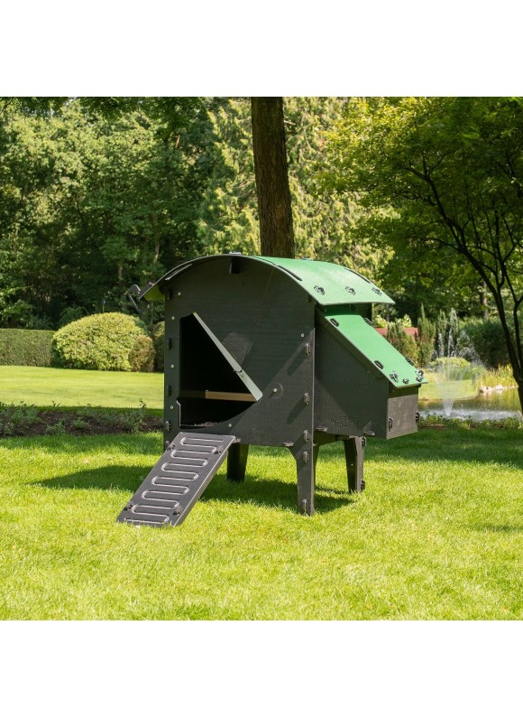 Nestera Small Lodge Chicken Coop, Green and Black