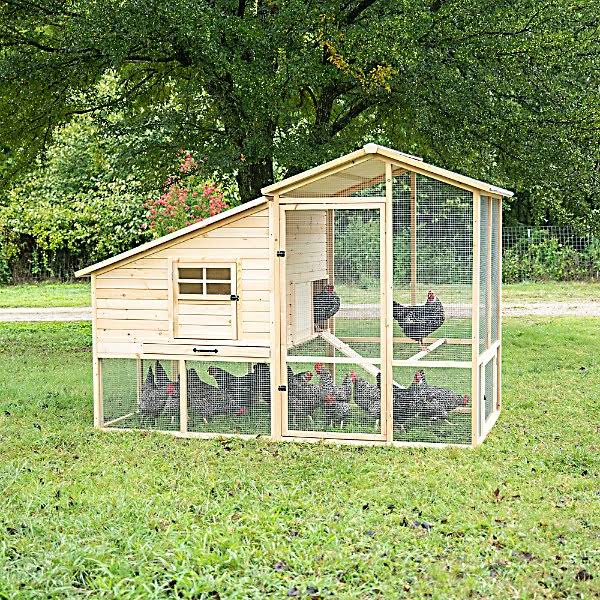 Precision Pet Products Superior Construction Annex Chicken Coop, 10 to 15 Chicken Capacity, Extra Large 